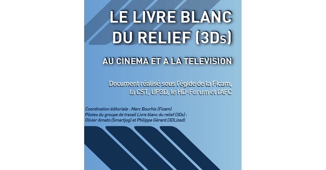 Livre Blanc du Relief (3Ds)