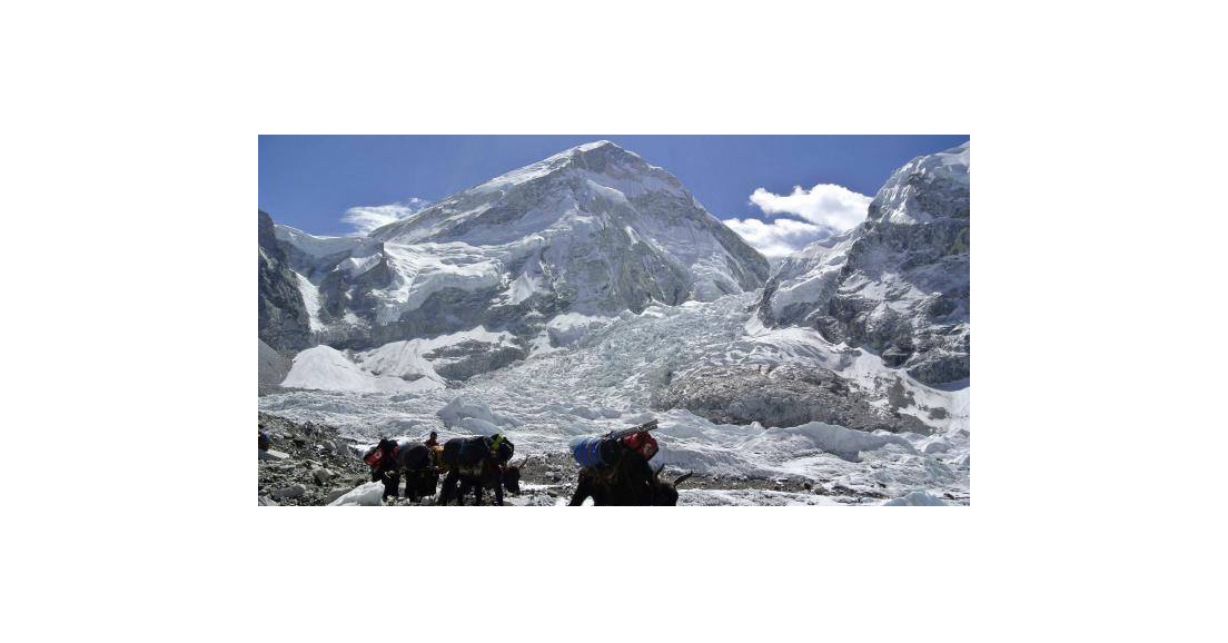 De nombreux partenaires partagent les valeurs portées par Everest Green