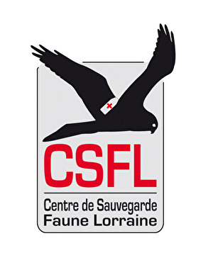 Centre de Sauvegarde de la Faune en Lorraine (CSFL)