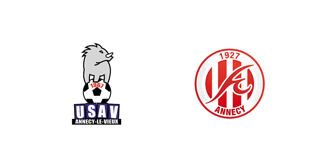 CONVENTION DE TRAVAIL : USAV - FC ANNECY