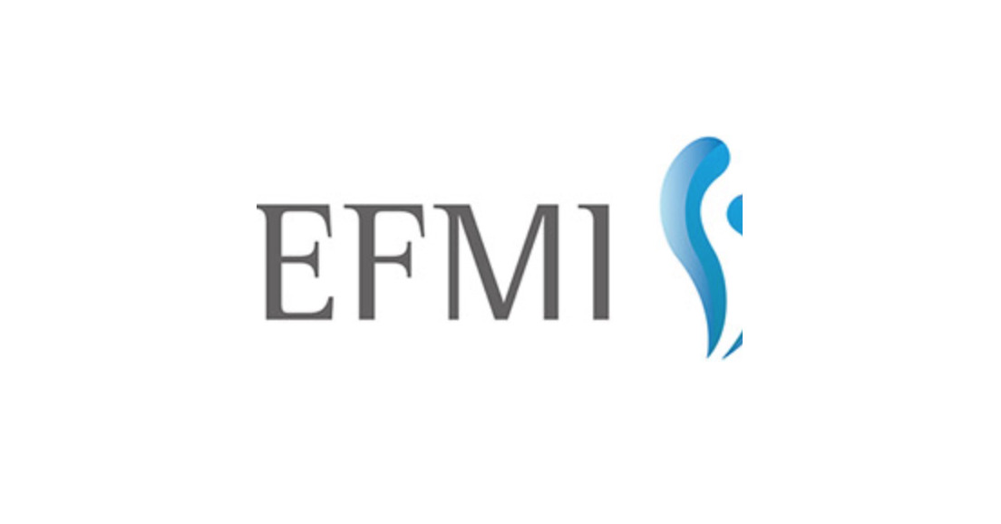 76e réunion du Conseil de l’EFMI MIE 2017