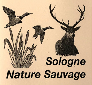 Sologne Nature Sauvage