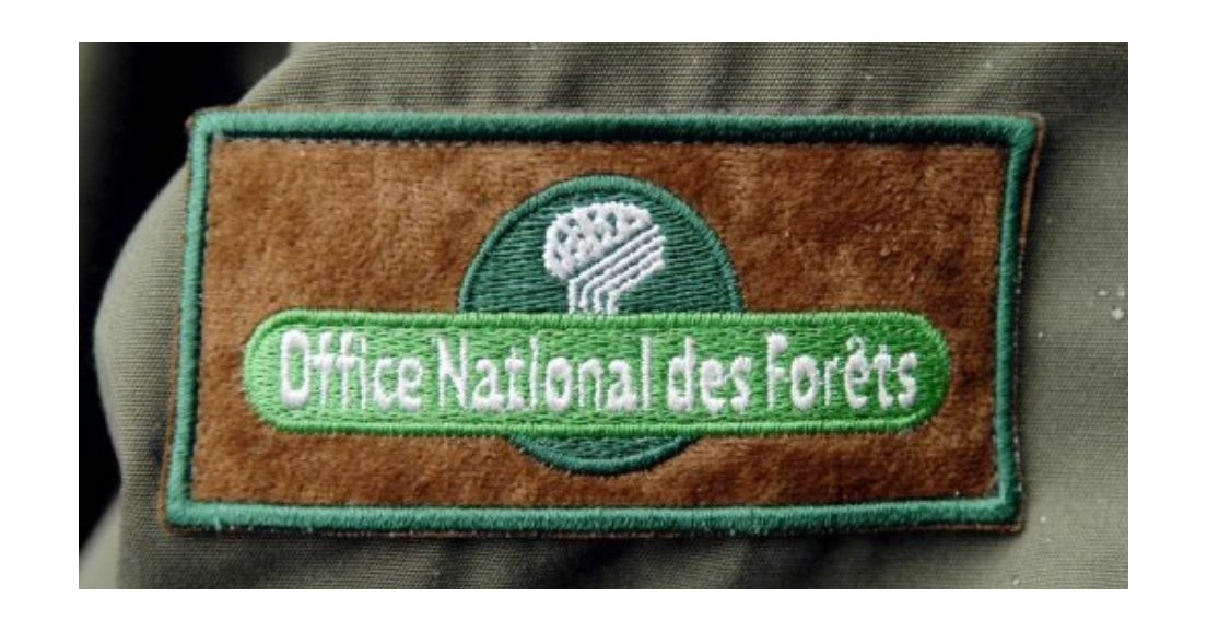 Gestion des forêts publiques françaises : quel rôle pour l'ONF ?