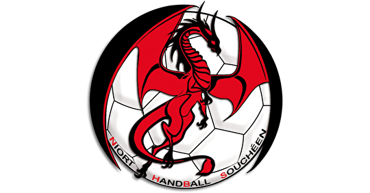 Niort handball Souchéen