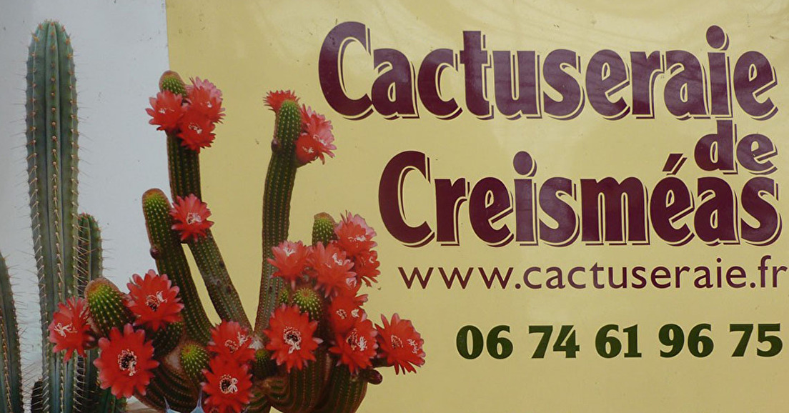 Visite de la cactuseraie de Creisméas