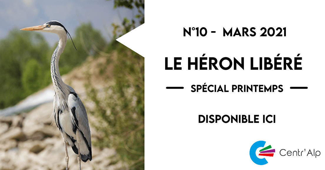 Le Héron Libéré - N°10