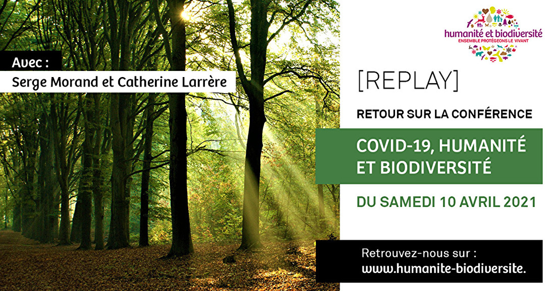 Revoir la conférence "Covid-19, Humanité et Biodiversité"