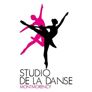 Studio de la Danse