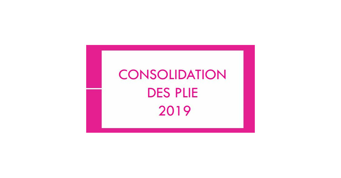 [AVE] - La consolidation des PLIE 2019 est sortie!