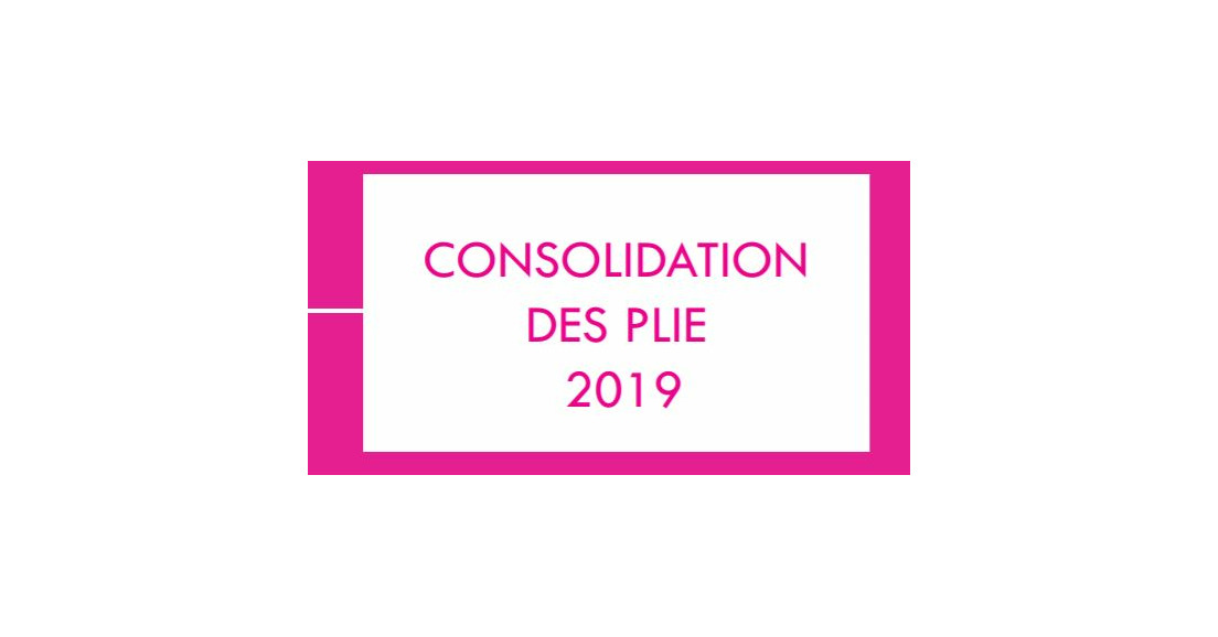 [AVE] - La consolidation des PLIE 2019 est sortie!
