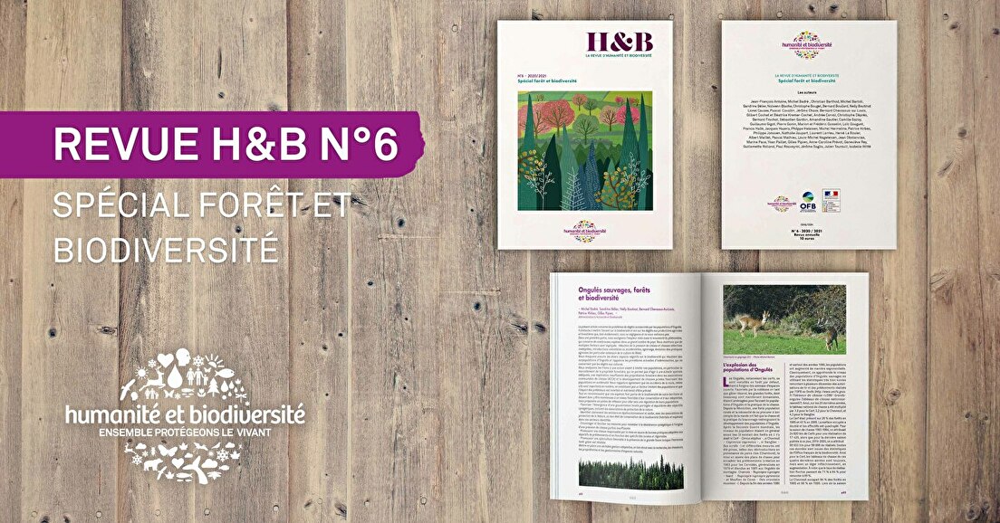 La Revue H&B n°6 spécial forêt et biodiversité
