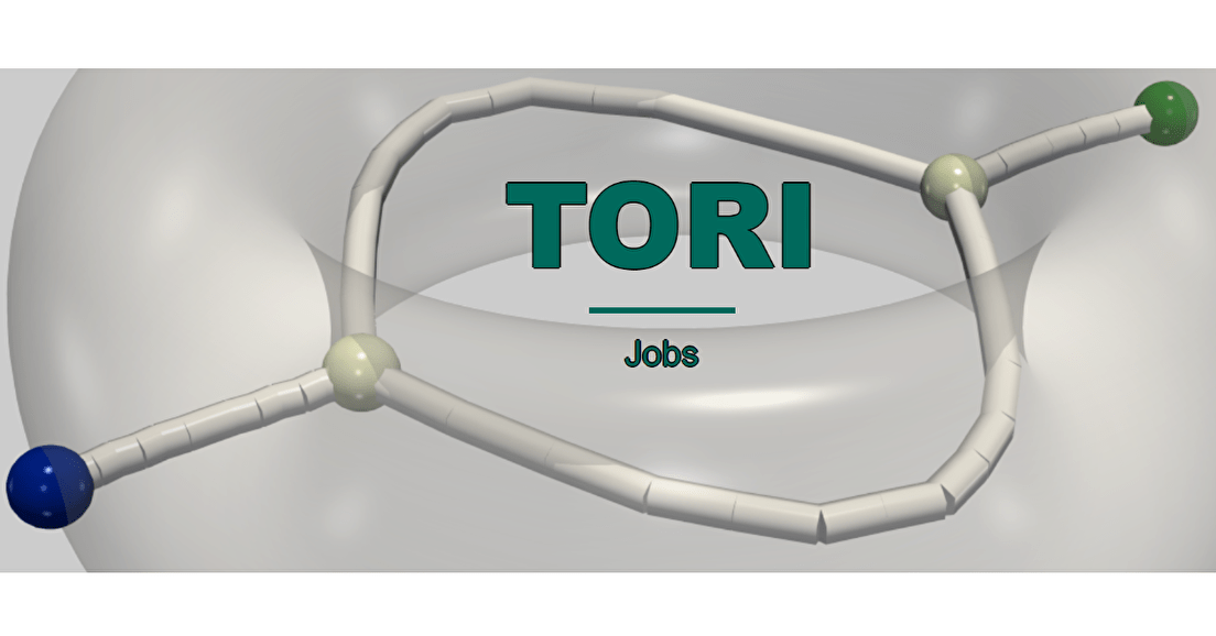 Project TORI: Multiple research positions available (PhDs, postdocs...)