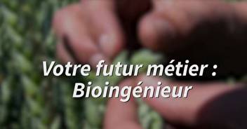 Votre futur métier: Bioingénieur