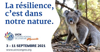 Congrès mondial de la nature : du 3 au 11 septembre à Marseille
