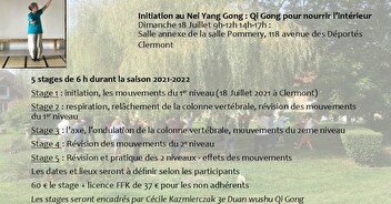 Dimanche 18 juillet 2021  : initiation NEI YANG GONG