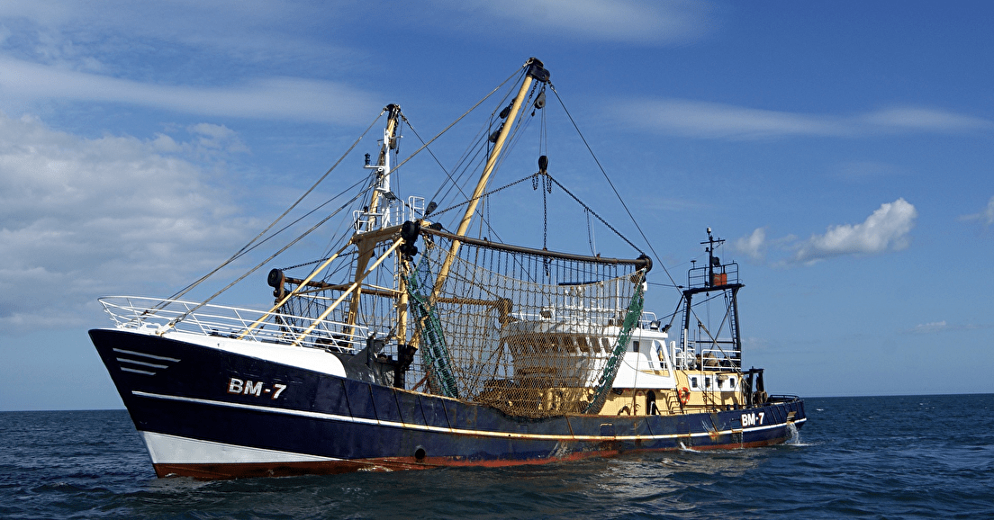Pêche électrique : interdiction définitive au 1er juillet