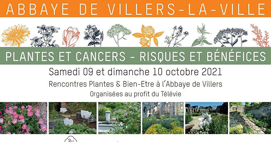 Plantes & Bien-Etre à l’Abbaye de Villers