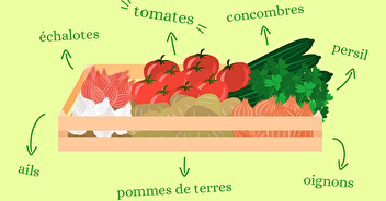Paniers du 26 août : arrivée des tomates
