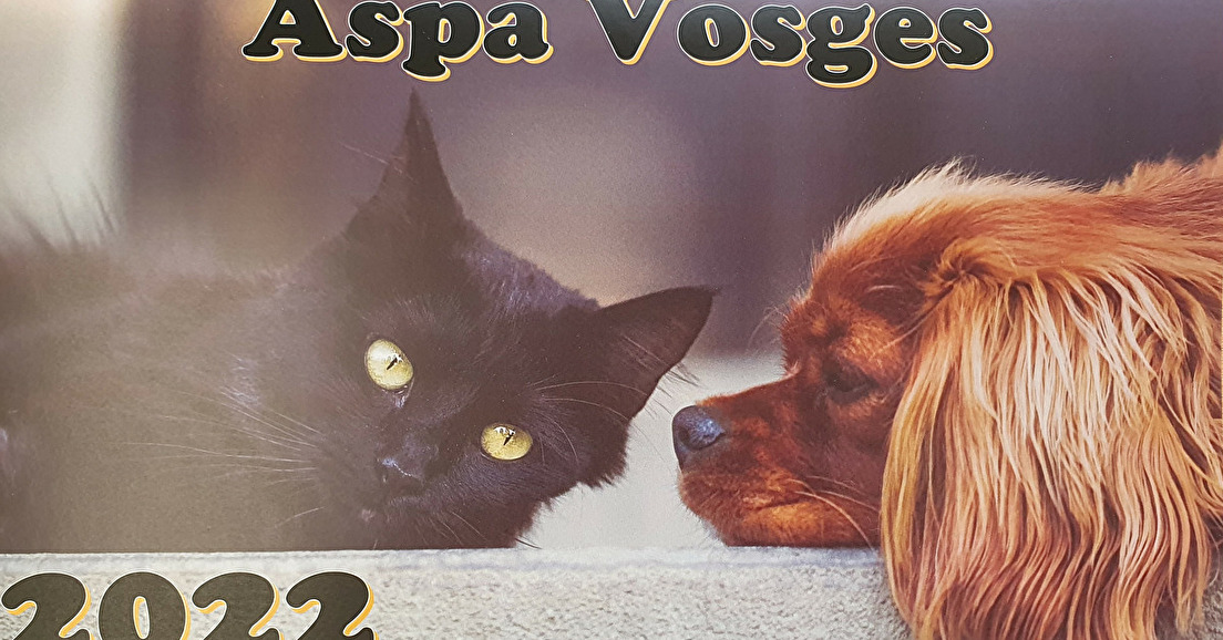 Calendrier de l'ASPA Vosges en vente