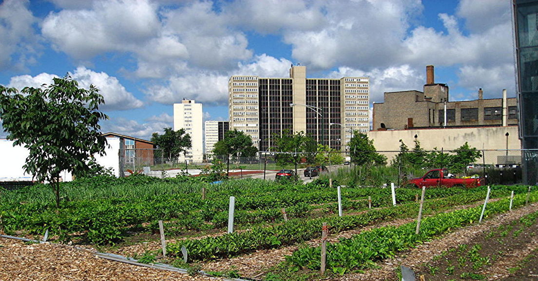 Certificat d'université en agriculture urbaine et péri-urbaine
