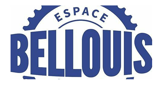 Nouveaux partenariats: Espace BELLOUIS et Sport2000 à Gif
