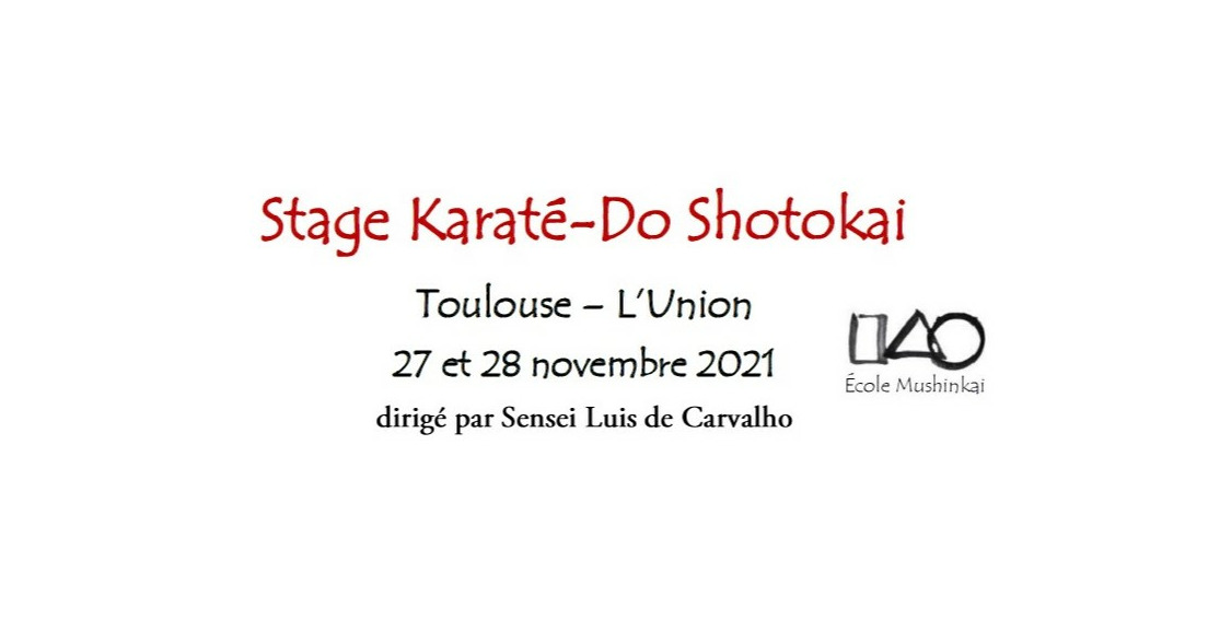 KARATE - Stage de Karaté-Do Shotokai de l'École Mushinkai
