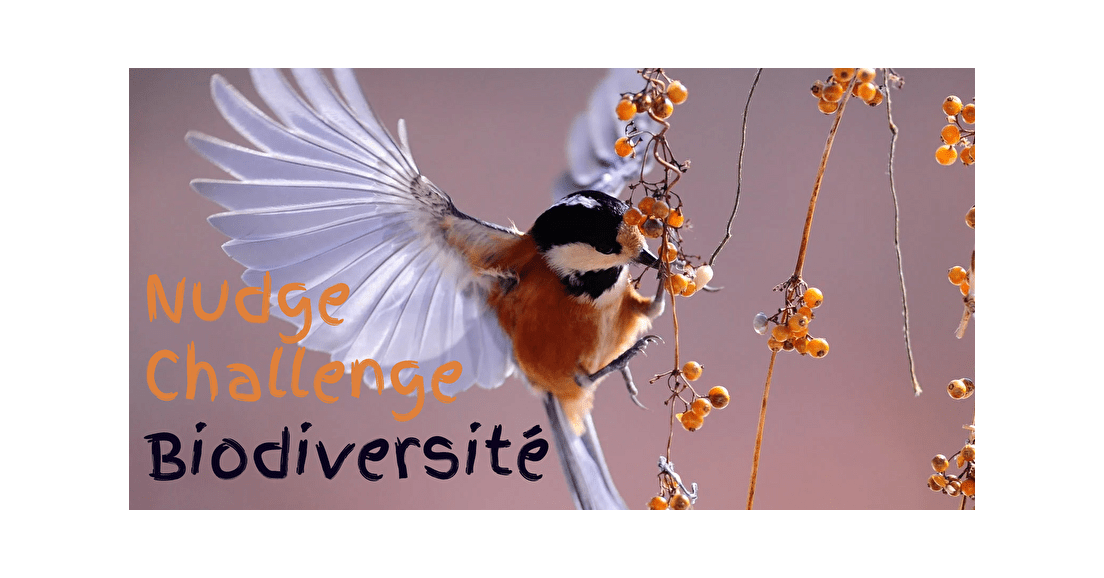 Le "Nudge Challenge" 2021 : un concours en faveur de la biodiversité