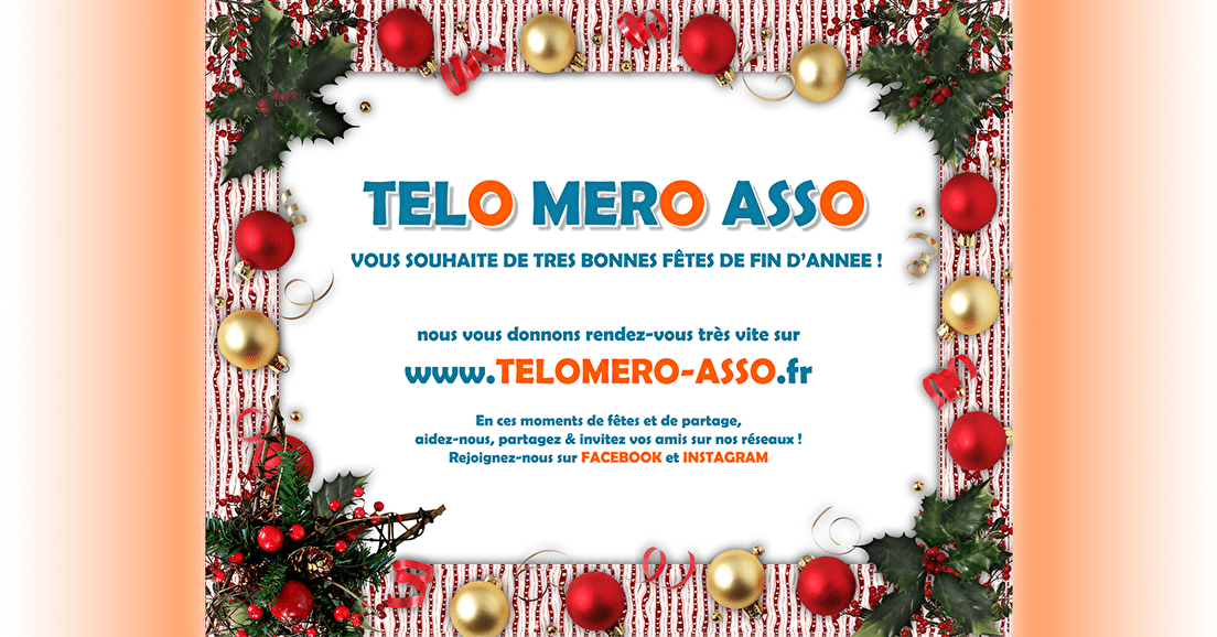 L'équipe Telomero Asso vous souhaite de bonnes fêtes !