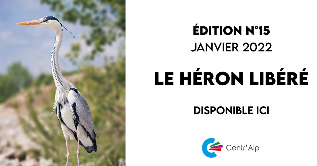 Le Héron Libéré - N°15