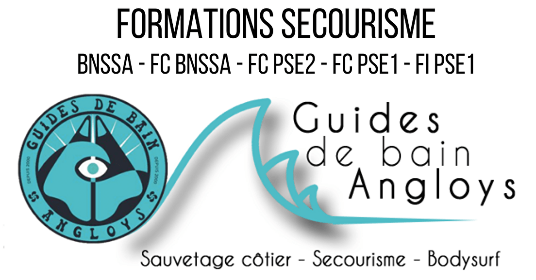 ~ Nos prochaines formations - BNSSA/FI PSE1 / FC PSE 1-2 ~