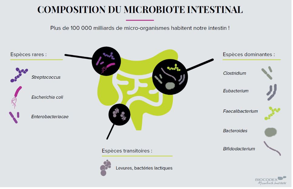 Microbiote intestinal