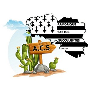 Armorique cactus succulentes