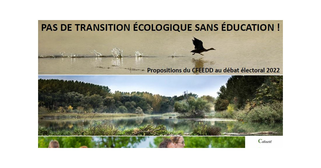 Pas de transition écologique sans éducation