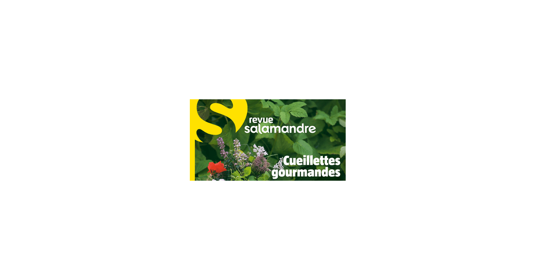 Revue La Salamandre