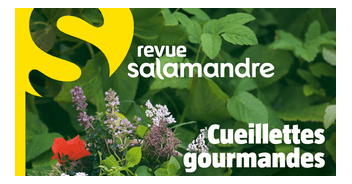 Revue La Salamandre