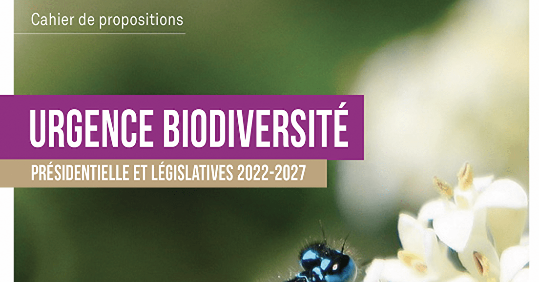 Urgence biodiversité : nos propositions pour les élections