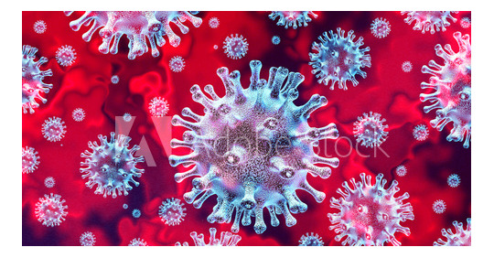 Impact de l’épidémie à Coronavirus