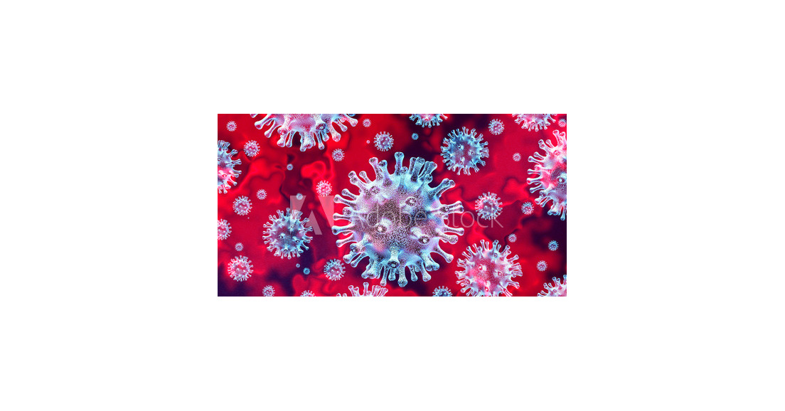 Impact de l’épidémie à Coronavirus