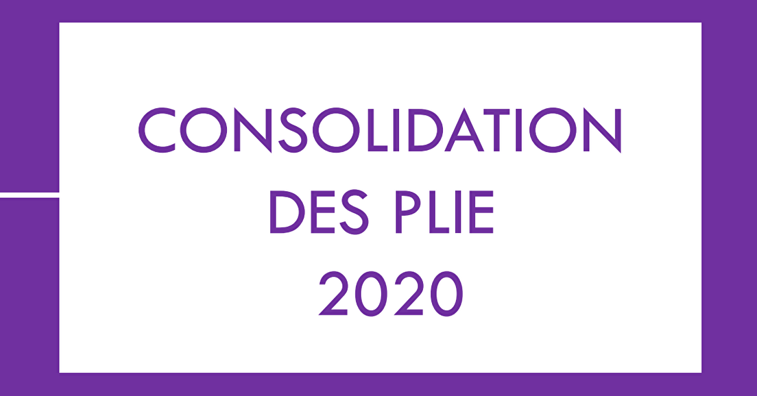 [AVE] Consolidation des PLIE 2020