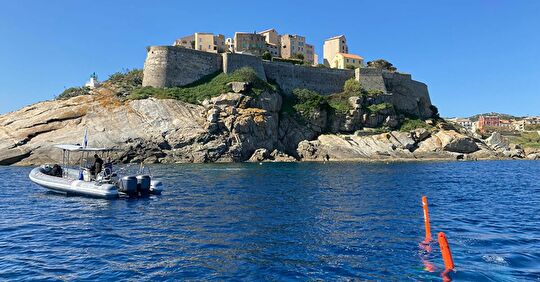 Voyage en Corse de mai 2022 : Viva Corsica !