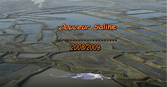 Douceur saline (2009)