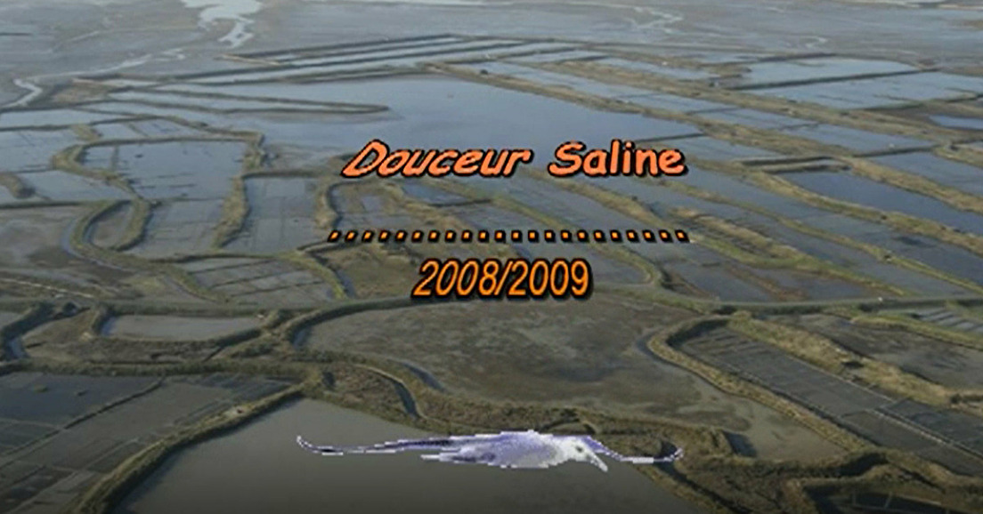 Douceur saline (2009)