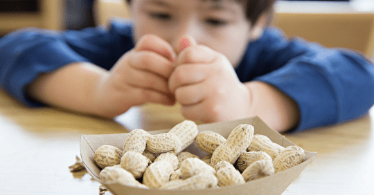 Allergie à l'arachide : la HAS émet un avis favorable