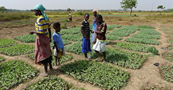 Microcrédit au Burkina Faso - Le projet Yennega de l'ONG Graine