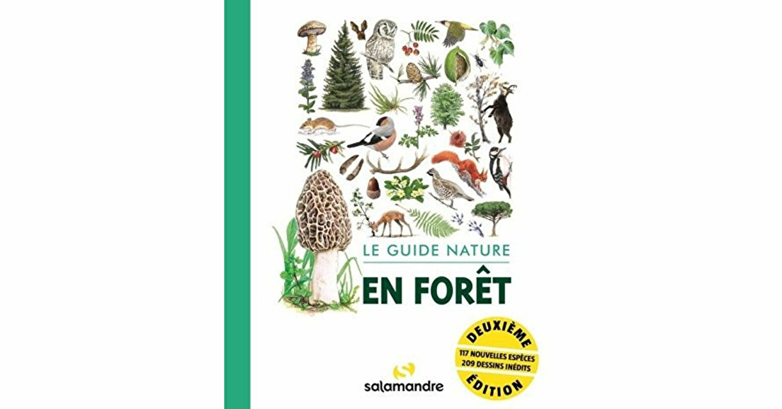 Guide nature en forêt