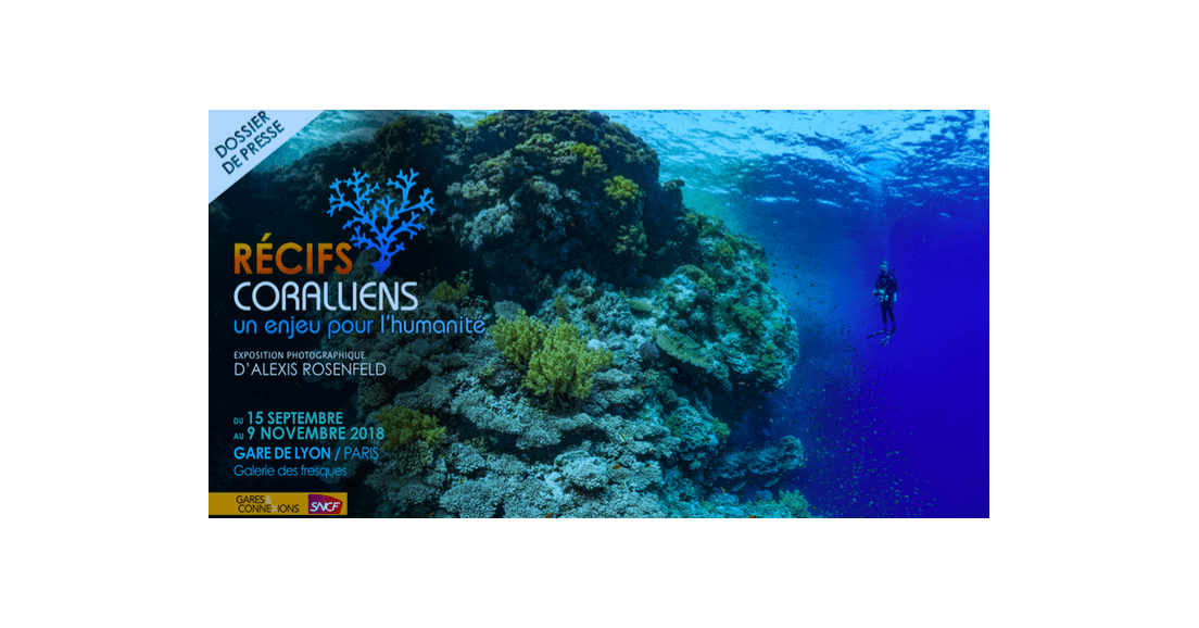 Exposition et conférence sur les récifs coralliens