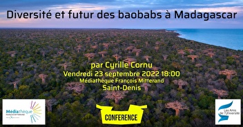 Diversité et futur des baobabs à Madagascar