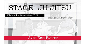 Stage Ju Jitsu - Eric PARISET