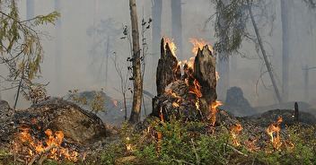 Position d'H&B - Risque incendie en forêt