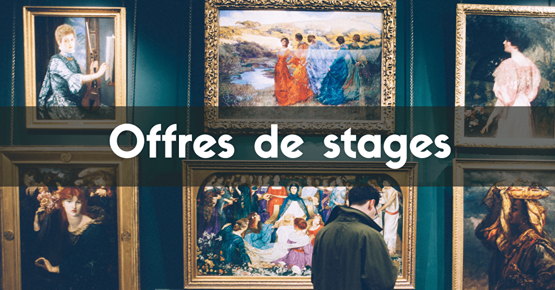Chambéry | Musée savoisien | Stage pour un chantier des collections